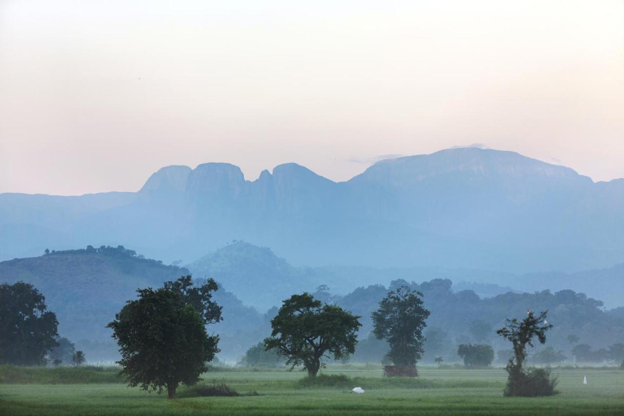 Farcry Nature Boutique Resort Matale Luaran gambar